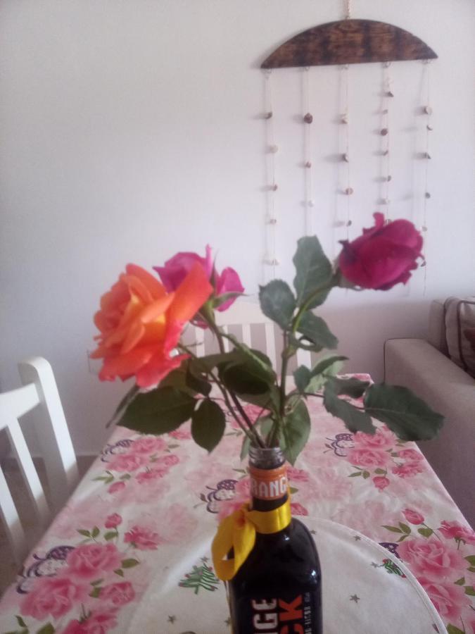 Lindita'S Seaview Appartment Vlorë 外观 照片